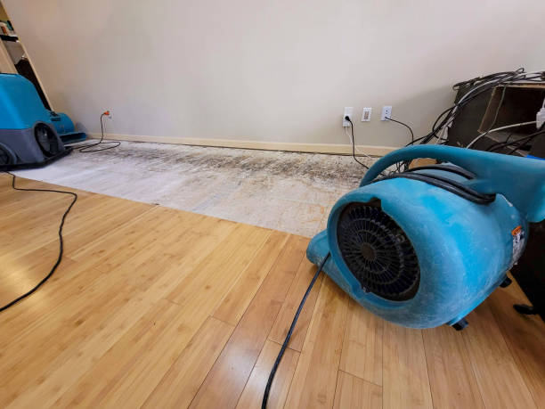 Reliable Burst Pipe Water Damage contractor in East Orange, NJ by Hirex Water Damage