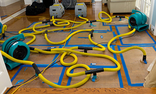 Professional Burst Pipe Water Damage technician working in East Orange, NJ